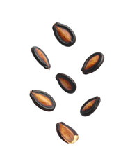 Fototapeta premium Watermelon Seeds Floating in Air Isolated on Transparent Background