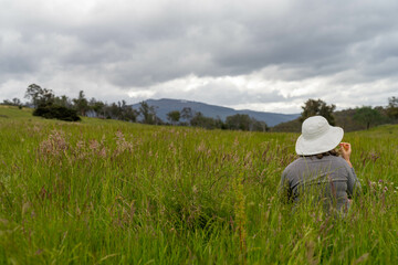 Naklejka premium Green Pasture crop farm practicing Sustainable agriculture the Future of Regenerative Farming in Australia. Showcasing Healthy Land Management, Environmental Stewardship, and Thriving Rural Landscapes