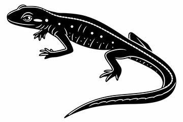 Fototapeta premium eastern newt sihouette black vector