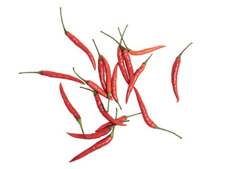 The Red chili peppers,  spicy Thai vegetable isolate on white background