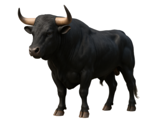 A black bull with horns stands on a white background. The bull is the main focus of the image, and it is a powerful and majestic creature. The white background emphasizes the bull's dark color