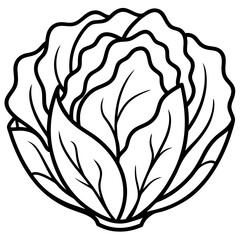 Chinese cabbage line art vector