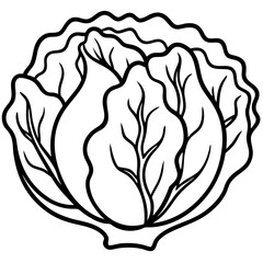 Chinese cabbage line art vector