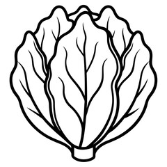 Chinese cabbage line art vector