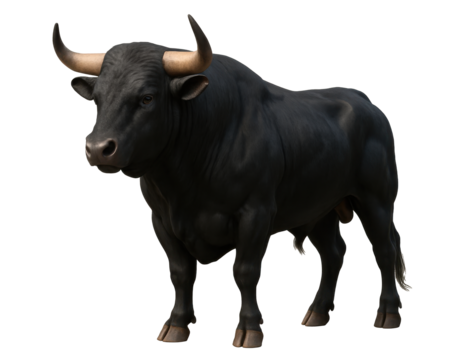 A black bull with horns stands on a white background. The bull is the main focus of the image, and it is a powerful and majestic creature. The white background emphasizes the bull's dark color