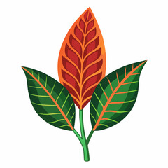 Simple Croton Vector on White © Motin