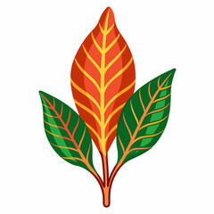 Simple Croton Vector on White © Motin