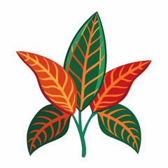 Simple Croton Vector on White © Motin