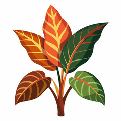 Simple Croton Vector on White © Motin