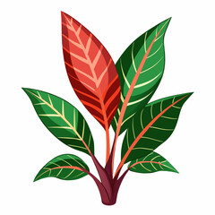 Simple Croton Vector on White © Motin