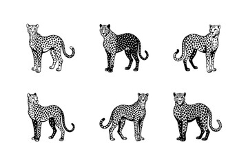 i need vectors silhouette cheetah