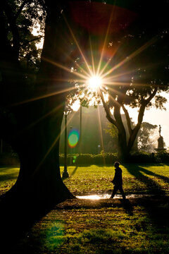Silhouette of a man walking through hyde park in the early morning
