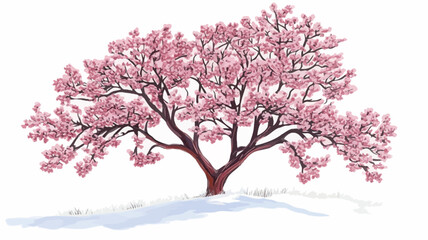Fototapeta premium ​The image shows a tree with a dense canopy of pink blossoms against a stark white background. The tree has a sturdy, brown trunk that branches out into many limbs.