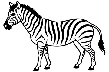 Zebra Motion Line Art