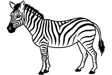 Zebra Motion Line Art