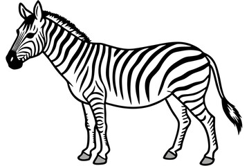 Zebra Motion Line Art