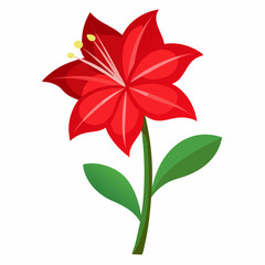 Simple Amaryllis Vector on White