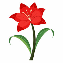 Simple Amaryllis Vector on White