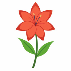 Simple Amaryllis Vector on White