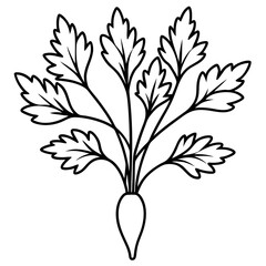 Cress line art vector