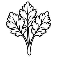 Cress line art vector