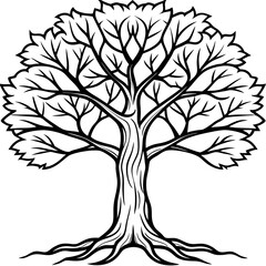 Obraz premium Fantasy Grove Silhouette Art