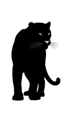 black cat silhouette