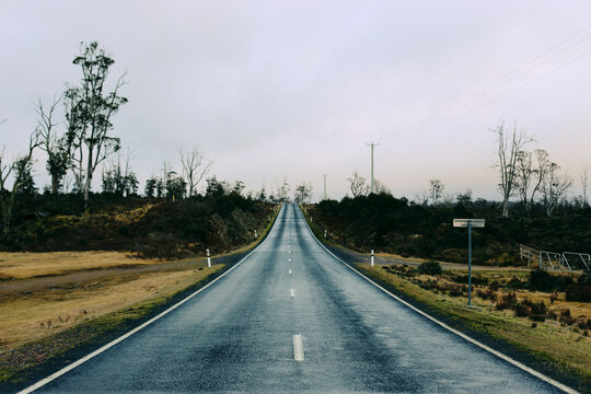 Looking down an empty country road