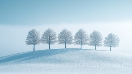 Row of trees, snow-covered hill, ethereal winter scene