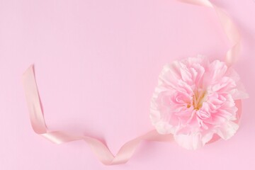 ピンクの花の背景