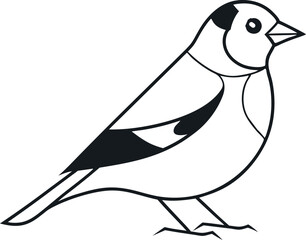 Obraz premium Goldfinch Bird Line Drawing Vector Illustration