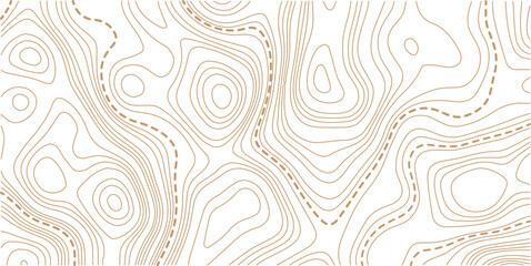 Abstract seamless pattern with lines and stylized height of the topographic contour in lines and topo graphic map design. Topology, Cartography or terrain path concept