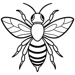 Geometric Bee Outline Vector