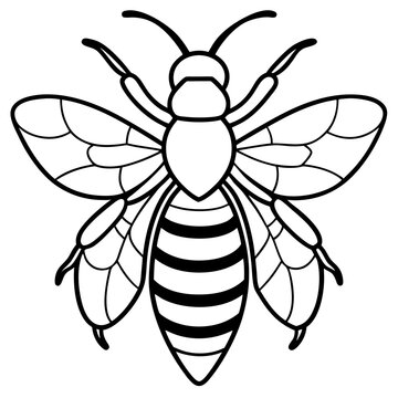 black and white bee outline clip art preview
