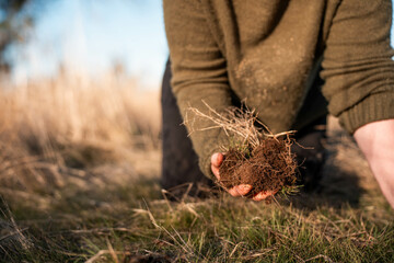 female  Farmer Inspects Soil Health and Pasture Roots on an Australian Farm. Highlighting Key Practices for a Sustainable Future of Regenerative Agriculture and Environmental Stewardship
