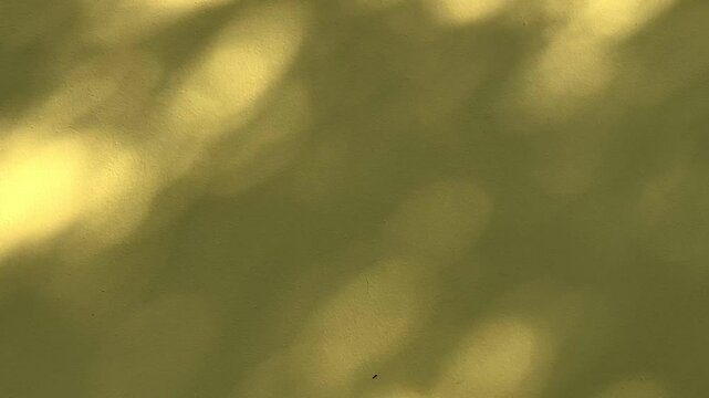 Beige wall with bokeh sunlight and a copy space.