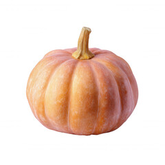 Isolated Rustic Pumpkin on White Background