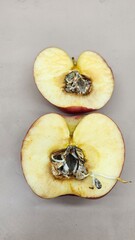 A red apple that is cut in half and has sprouts growing from the seeds in the middle, the middle is brownish black because it has been ripe for too long.