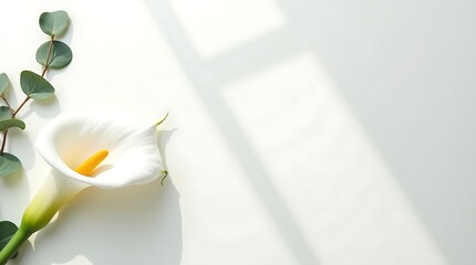 Minimal ivory canvas background with floral accents on the left, soft shadows, and a clean center for text or branding.
