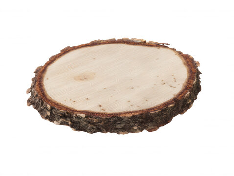 Rustic Wood Slice: Natural Tree Stump Cross Section with Bark