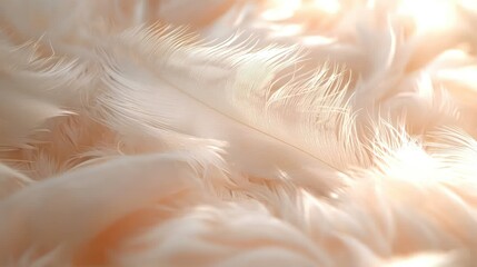 Soft, peach-toned feathers, fluffy, delicate macro image