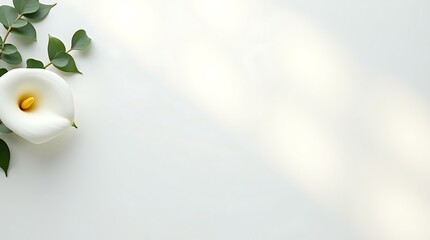 Minimal ivory canvas background with floral accents on the left, soft shadows, and a clean center for text or branding.