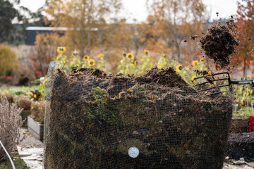 turning a compost pile in a community garden. compost full of microorganisms. sustainable...