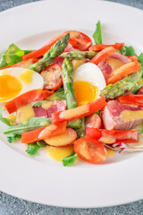 Elegant Niçoise portion with eggs, tuna, arugula, asparagus, cherry tomatoes, white plate