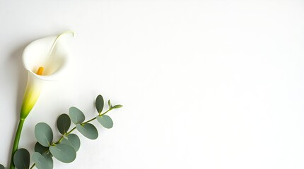 Minimal ivory canvas background with floral accents on the left, soft shadows, and a clean center for text or branding.