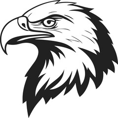 Obraz premium high quality, detailed, sharp, highly detailed illustration of a bald eagle head, detailed feathers, piercing eyes, strong beak, precise details, dark, bold lines, black and white 