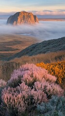 Mystical Morning Mist Enveloping a Coastal Rock Formation with Vibrant Wildflowers