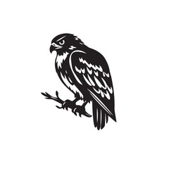 Vector art of a watchful black hawk perched on a branch, isolated on white background