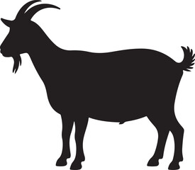 goat on white background