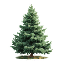 Fototapeta premium [Transparent Background PNG]Isolated Christmas Tree Illustration